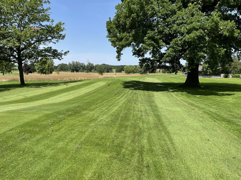 Mice-Agenturen Golf-Networking Event