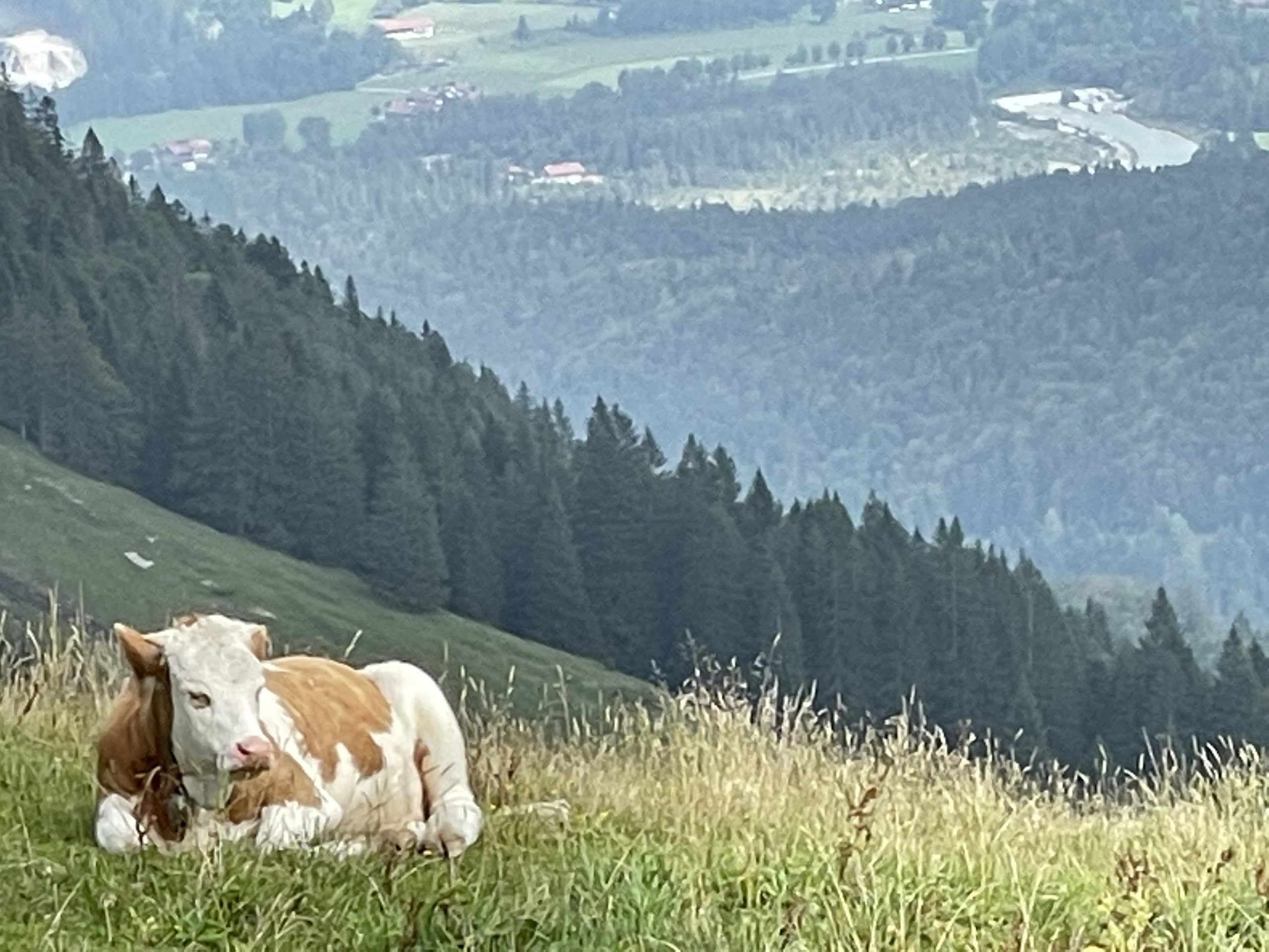 Wanderparadies Brauneck