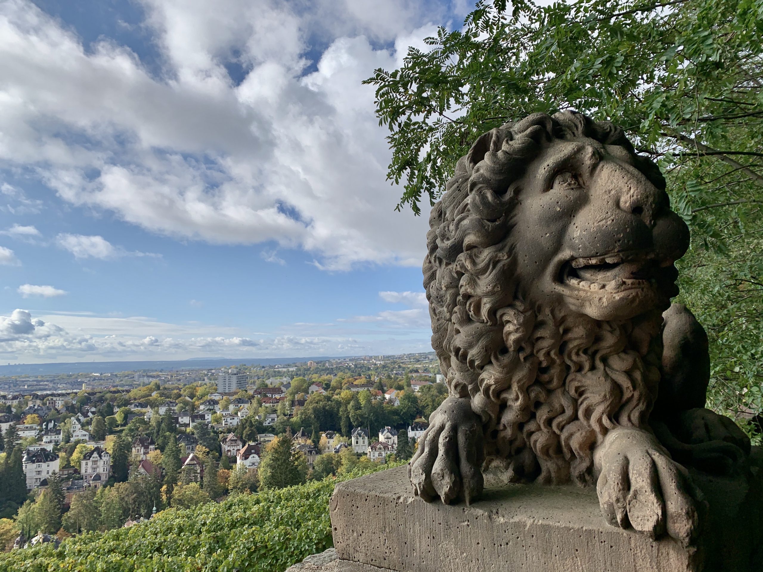 BDT 2020* in die Hommage Luxury Hotels Collection; Nassauer Hof