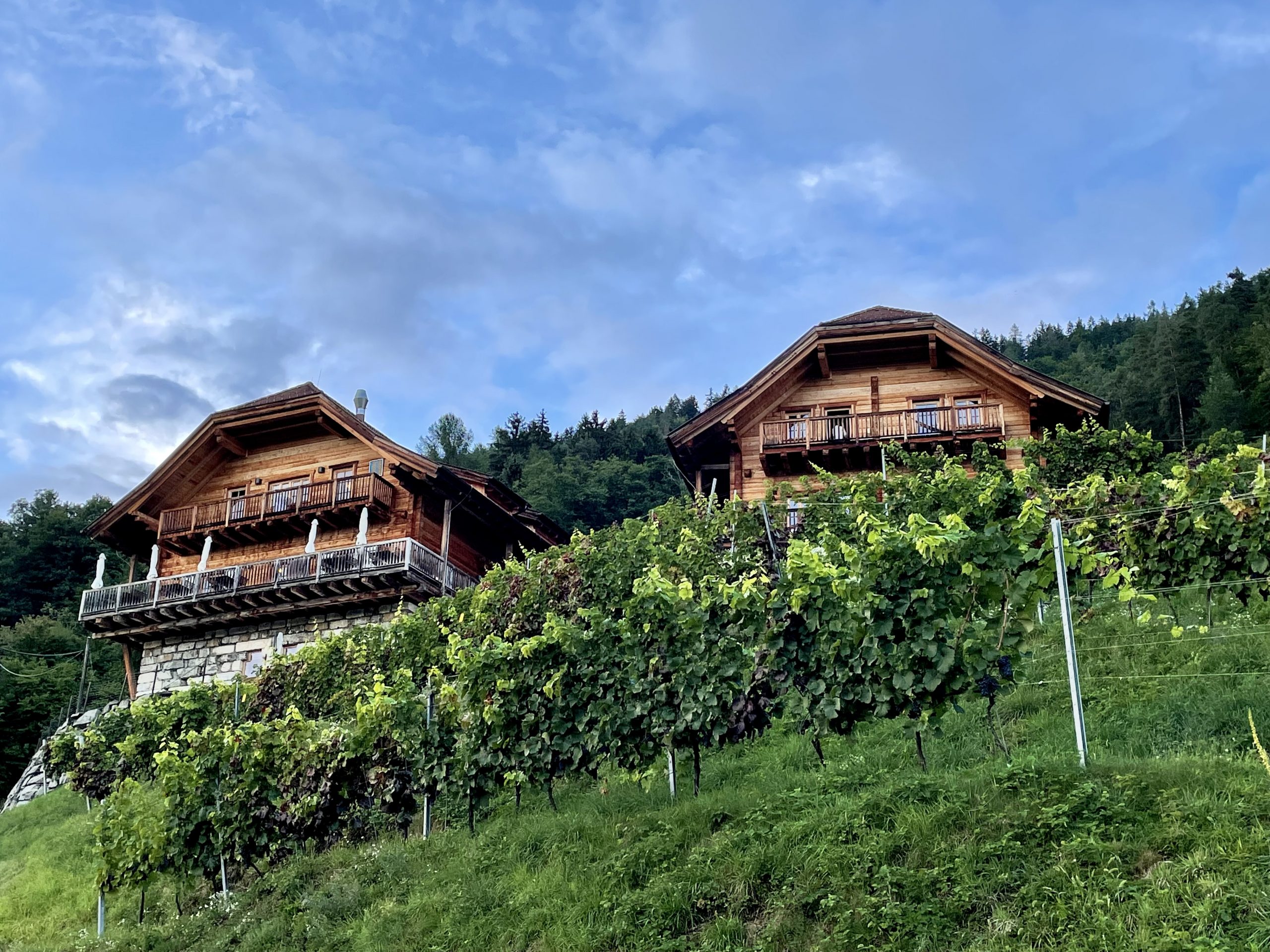 Kärnten, Weingut Karnburg, Blog 11