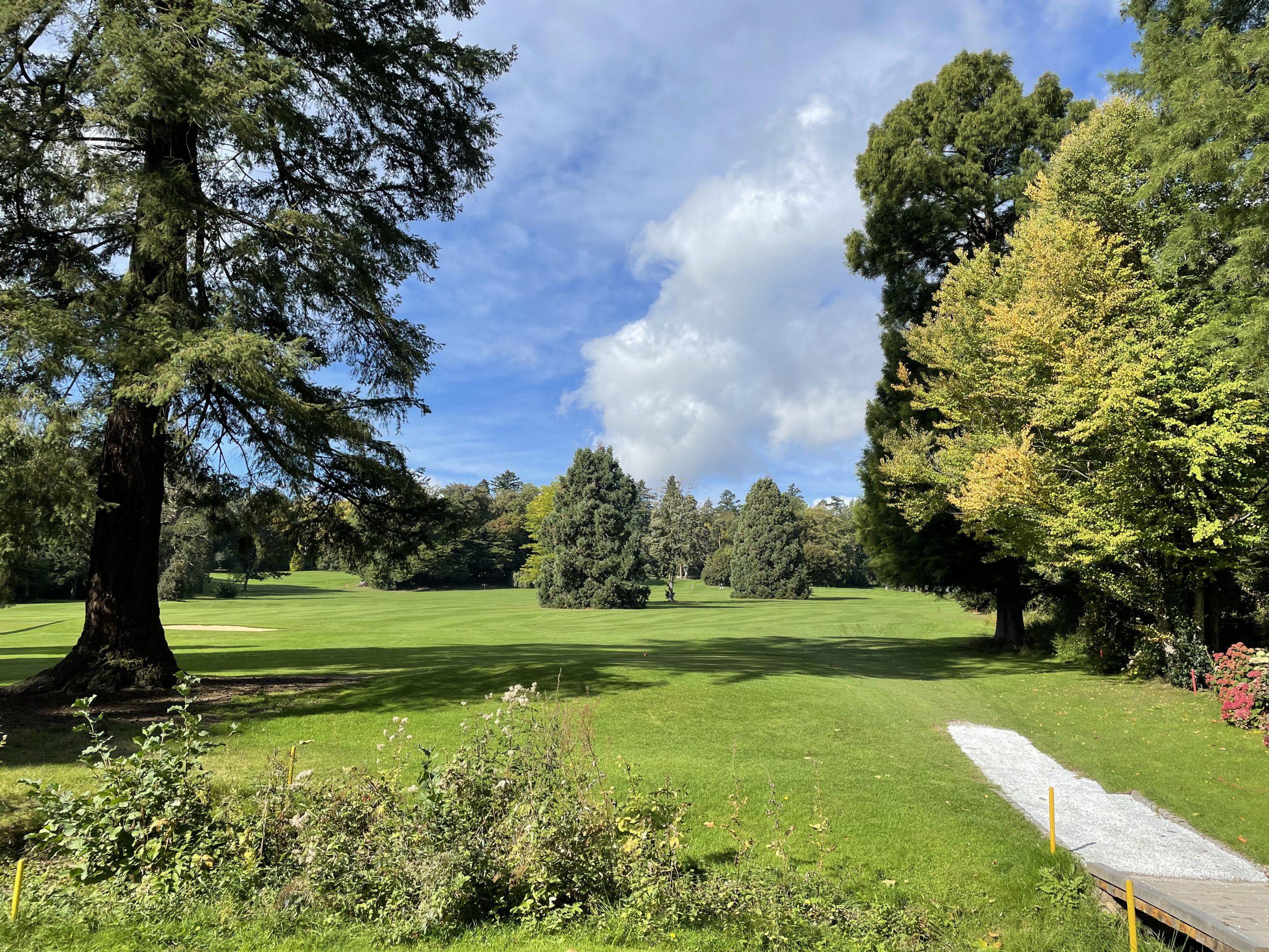 5. Mice Golfturnier by Ingo Schwerdtfeger, Blog 01