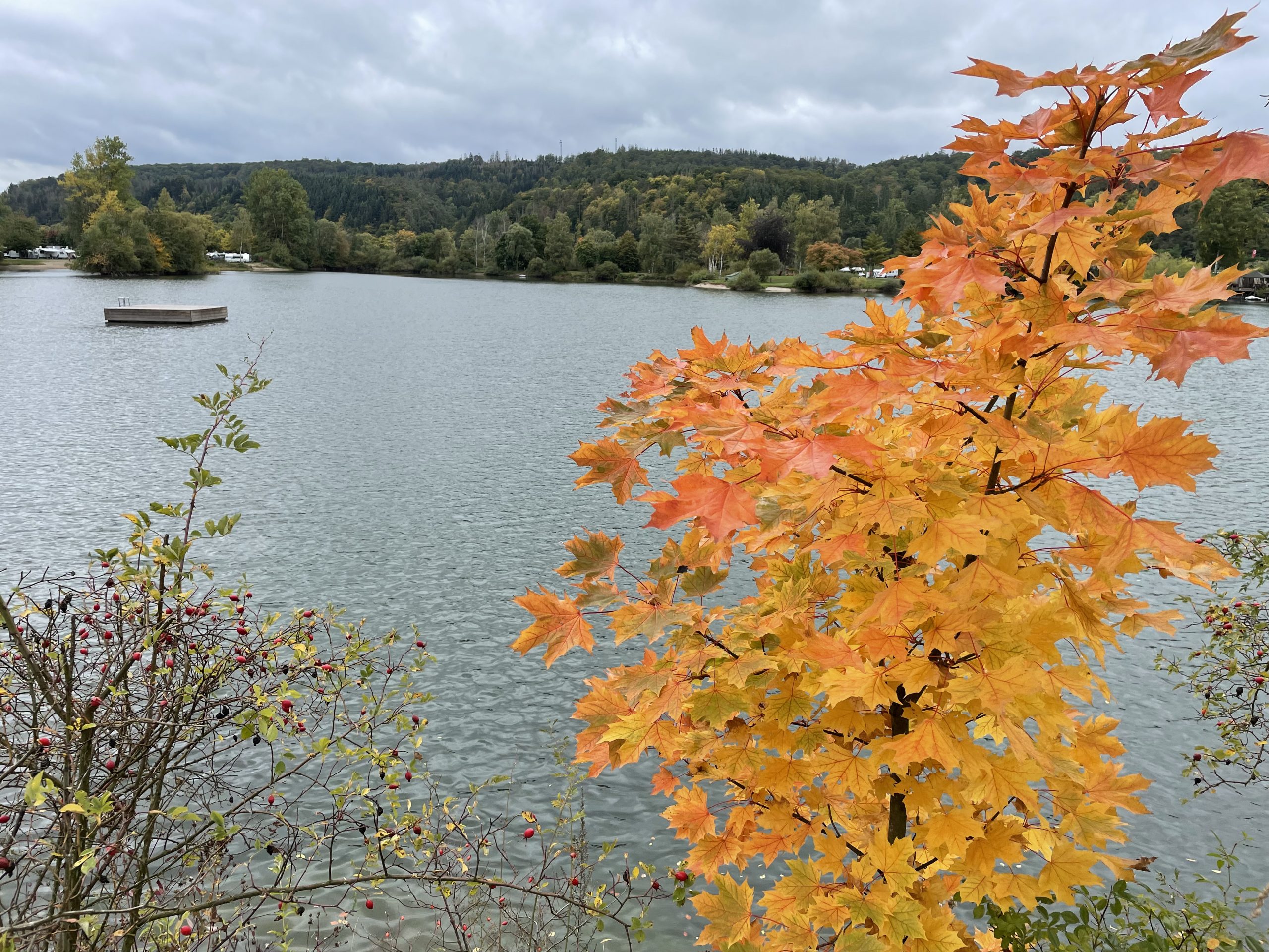 Die Sonne Frankenberg, Spass pur mit der legendären "Ente", Blog 04
