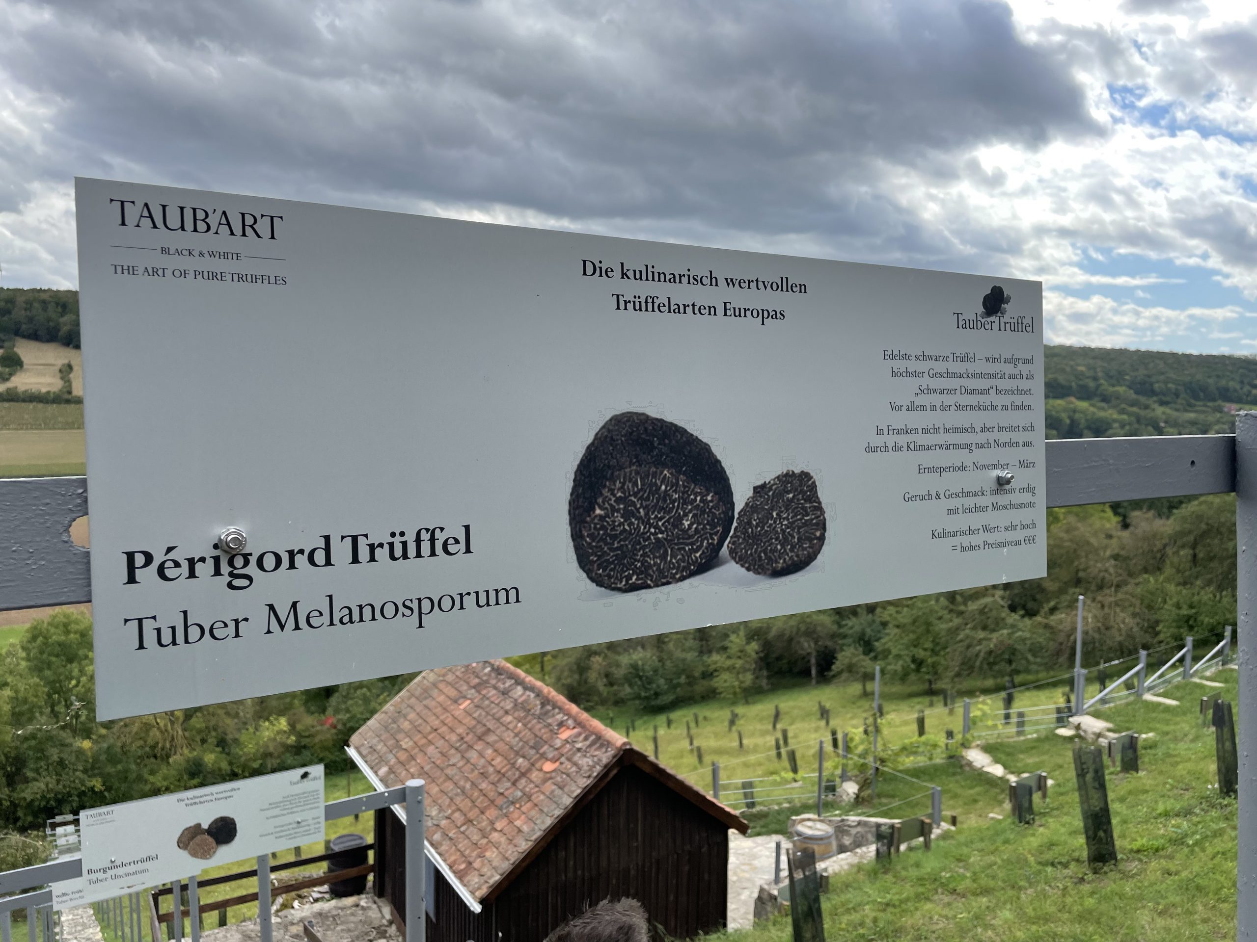 TAUB'ART - auf Trüffelsuche in Franken Blog 01